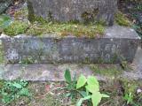 image of grave number 443532